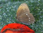 _DSC0058