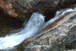 _DSC0061