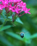 _DSC0071