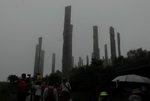 _DSC0028