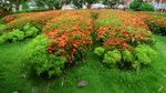 P1050477
