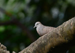DSC_0164r