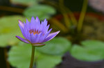 DSC_0166r