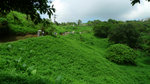 P1050648