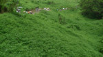 P1050649