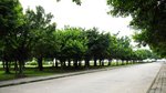 _DSC0004
