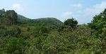 P1050956