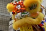 KKB_2462