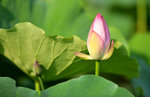 KKB_2873