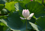 KKB_2879