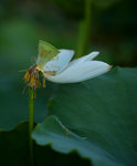 KKB_2880