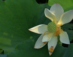 KKB_2899