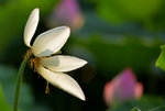 KKB_2903