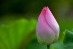 KKB_2905
