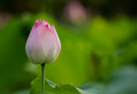 KKB_2906