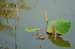 KKB_2907