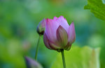 KKB_2977