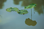 KKB_2991