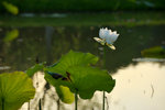 KKB_2993