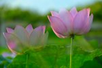 KKB_3015