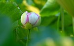 KKB_3016