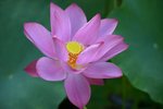 KKB_3017
