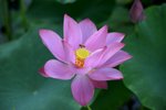 KKB_3019