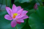 KKB_3024
