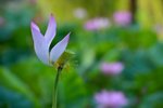 KKB_3027