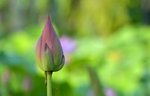 KKB_3028