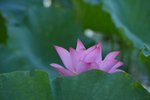KKB_3031