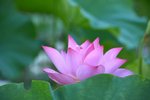 KKB_3033