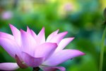 KKB_3038