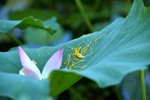 KKB_3039