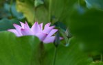KKB_3042