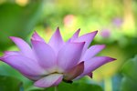 KKB_3045