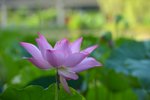 KKB_3046