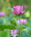 KKB_3050