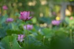 KKB_3051