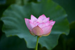 KKB_3113