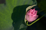 KKB_3119