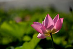 KKB_3120