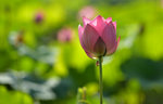 KKB_3122