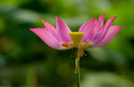 KKB_3124
