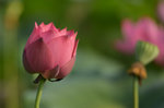 KKB_3128