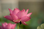 KKB_3129