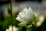 KKB_3132