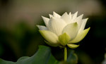 KKB_3134
