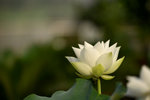 KKB_3135