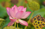 KKB_3844